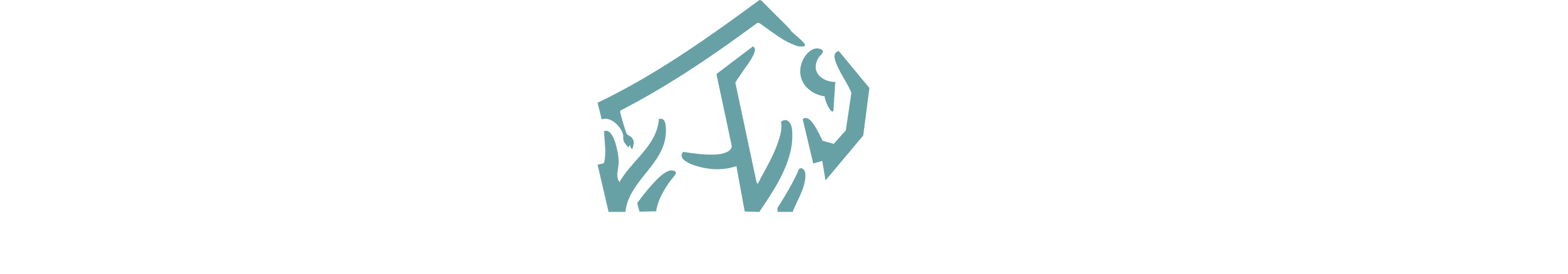 Wild Bison Studio