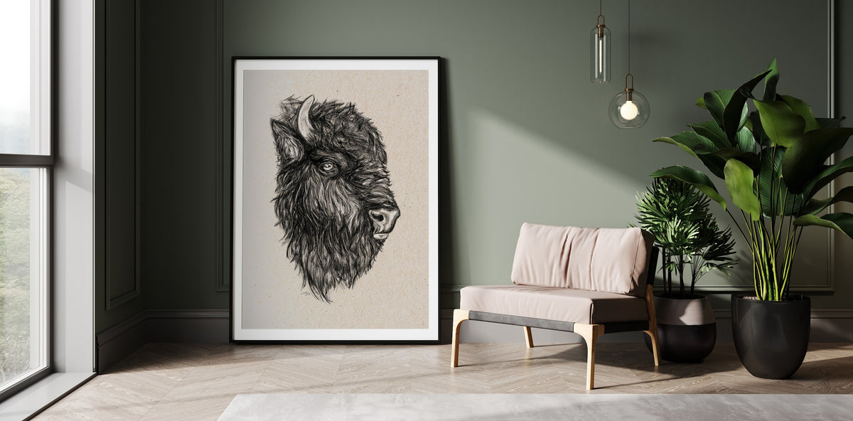 American Bison Drawing