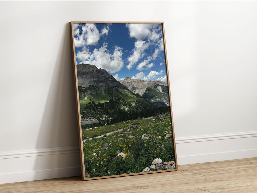 Mountain landscape photo of Telluride, Colorado with blooming wildflowers, pine forests, and blue sky with clouds.