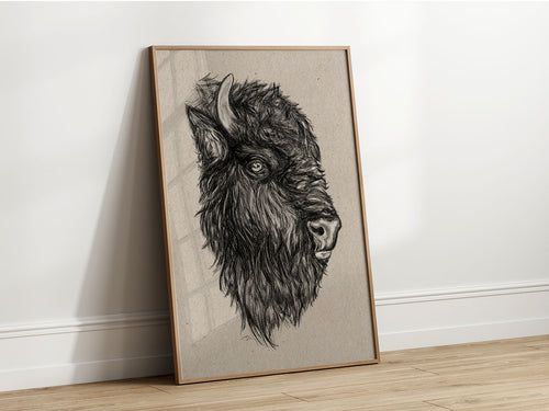 Hand-drawn bison in graphite. Realistic animal portrait on textured paper.