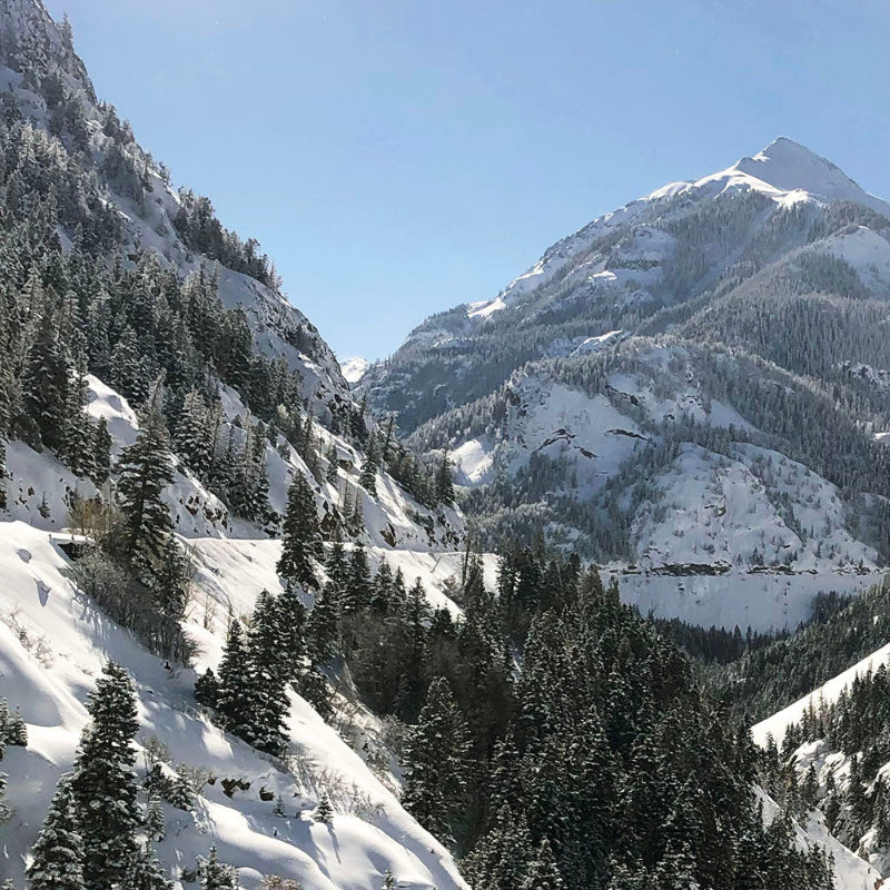 Snow-covered mountain valley in Ouray, Colorado with evergreen trees and sunlit peaks under a bright blue winter sky.