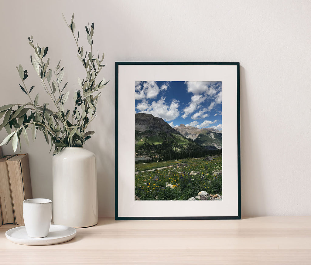 Mountain landscape photo of Telluride, Colorado with blooming wildflowers, pine forests, and blue sky with clouds.