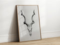 Fine art print of a detailed antelope skull portrait (likely a Greater Kudu), emphasizing its unique horn shape and skeletal details.