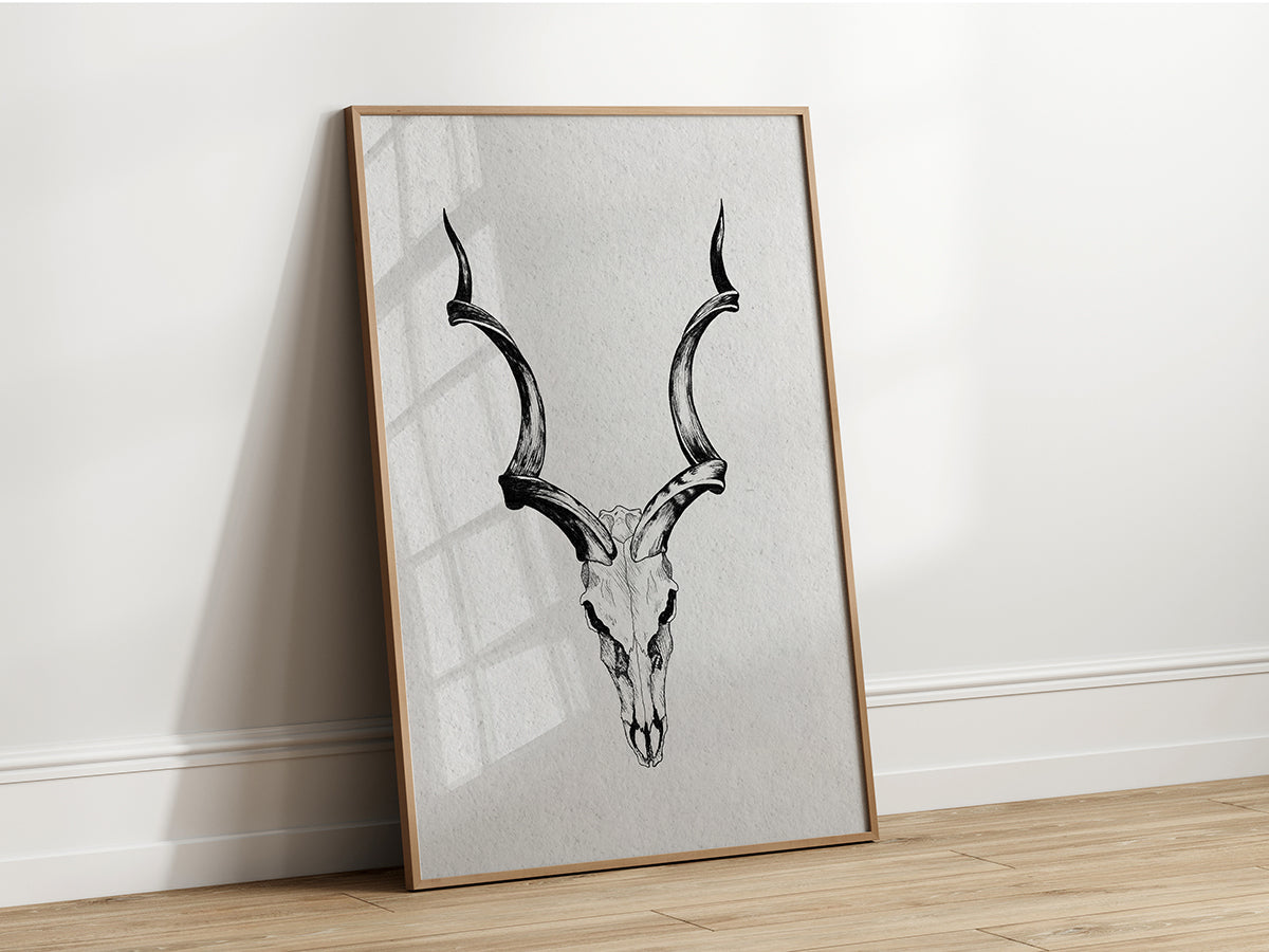 Fine art print of a detailed antelope skull portrait (likely a Greater Kudu), emphasizing its unique horn shape and skeletal details.
